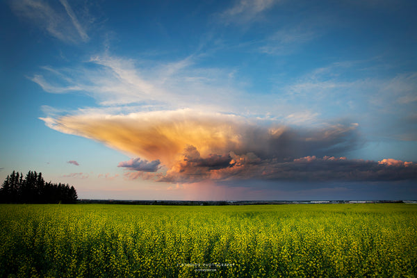 Cloud on the Prairie