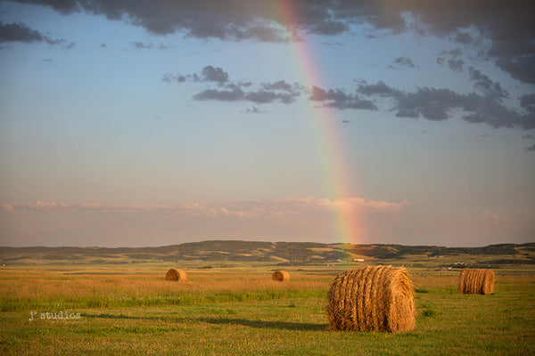 Picture of bales of hay in farmer's field with rainbow  arcing into it after a summer prairie storm.