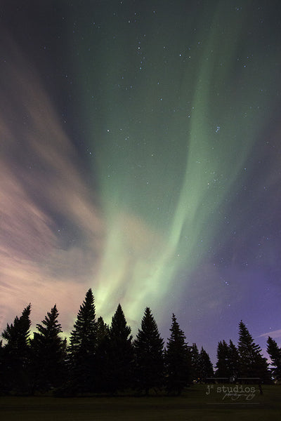 Streaming Aurora is an art print of the northern lights over south Edmonton.